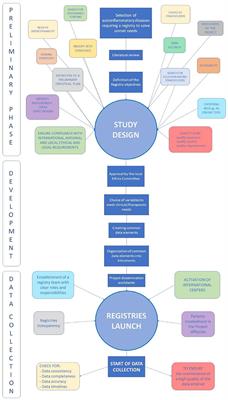 Development and Implementation of the AIDA International Registry for Patients With Undifferentiated Systemic AutoInflammatory Diseases